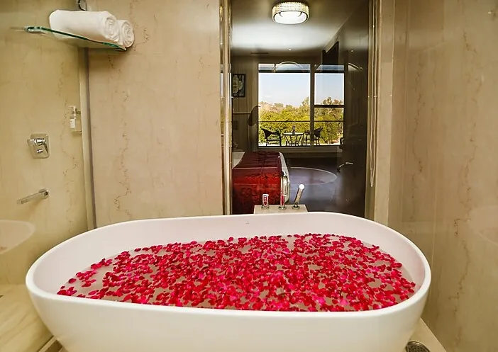 Regenta-Place-Jhansi-premiumfortviewroom