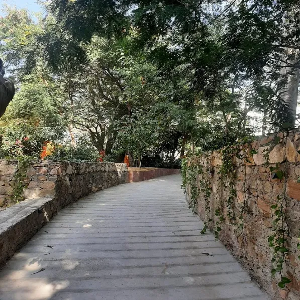 Exterior view of Brij Nest Jaipur showing boutique-style entrance and building façade