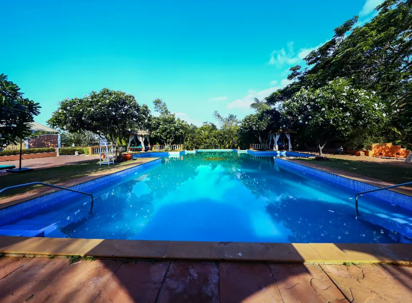 Blue-Ocean-The-Fern-Resort-Spa-Ganpatipule-swimmingpool