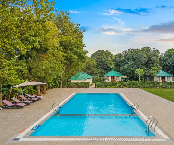 Outdoor swimming pool at ZANA Forest Resort Ranthambore with deck chairs and greenery